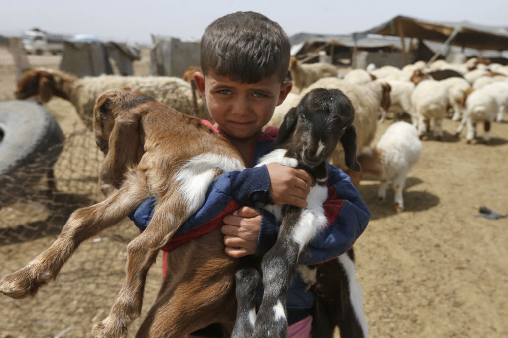 A bedouin boy holds the lambs of Abu Mari, a livestock farmer who raises camels, goats, and sheep, in the village of Ghezlaniah, in the countryside of the capital Damascus, April 20, 2021. (Photo: Louai Beshara / AFP)
