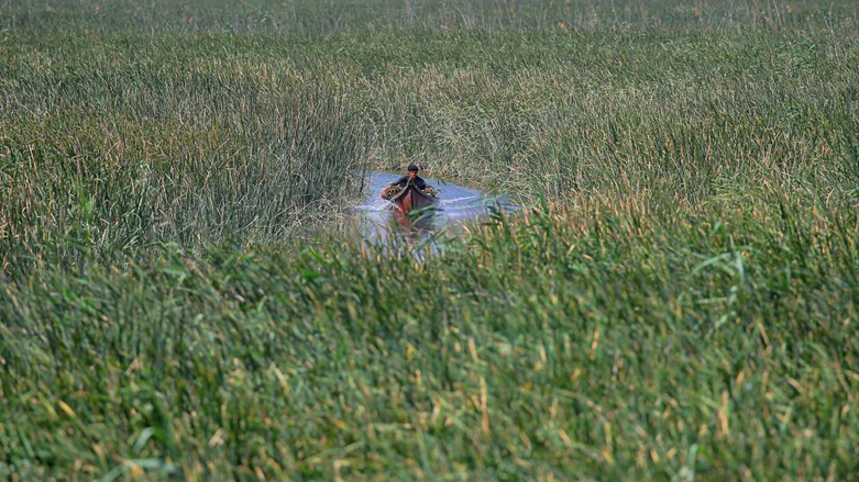 A marsh Arab man collects reeds from the wetlands that will later be sold or used for domestic use, in Chibayish, Iraq, May, 1, 2021. (Photo: Anmar Khalil / AP)