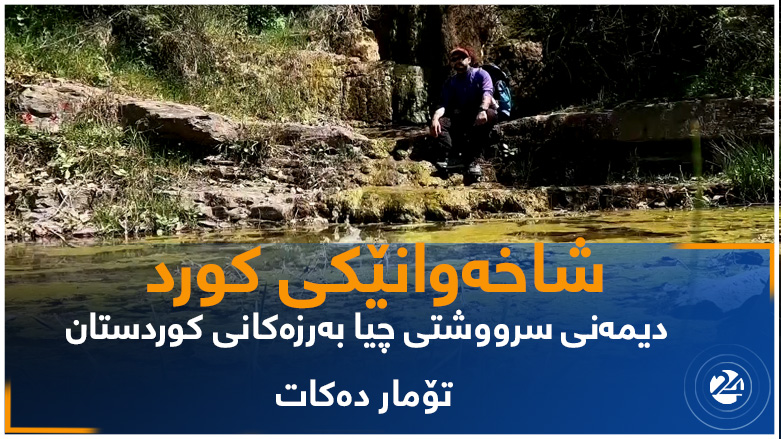 شاخەوانێکی کورد.. دیمەنی سرووشتی چیا بەرزەکانی کوردستان تۆمار دەکات