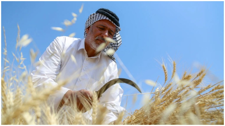 المزارع العراقي كامل حامد يحصد القمح في مزرعته في قرية جليحة بمحافظة الديوانية، في 26 نيسان/أبريل 2022- الصورة لفرانس 24