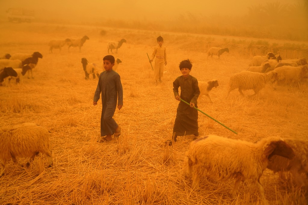 Bedouin shepherds whose animals were banned from entering the Najaf governorate due to the spread of the Crimean-Congo hemorragic fever, walk alongside their grazing flock in the al-Henniyah area outside of Najaf, on May 23, 2022. (Photo: Qassem Al-Kaabi/AFP)