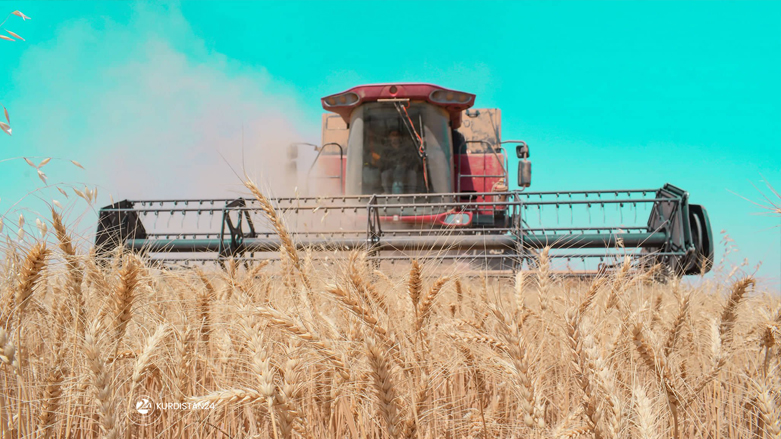 2022 wheat harvest season in Erbil province, Kurdistan Region, May 28, 2022. (Photo: Niyaz Qaraman/Handout to Kurdistan 24)