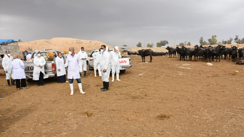 A veterinary team talks to farmers during a cattle disinfection campaign in Iraq's northern city of Kirkuk, May 7, 2022. (Photo: Shwan Nawzad/AFP)