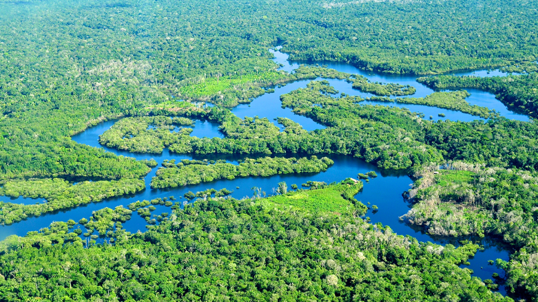 دارستانی ئامازۆن لە گۆشەیەکی جیاوازەوە