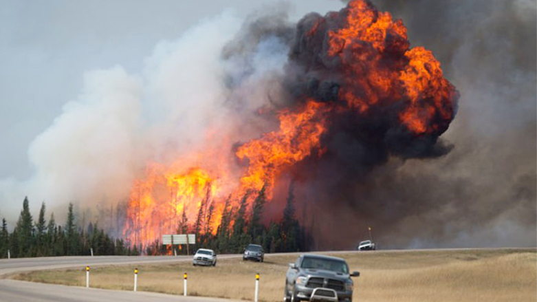 تسببت الحرائق بتدمير أكثر من 375 ألف هكتارٍ من الأراضي (وكالات)