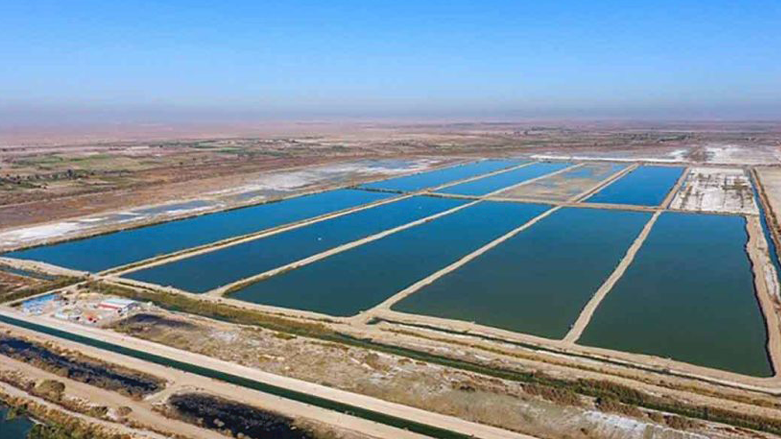 300 دەریاچەی ماسی لە عێراق وشک دەکرێن