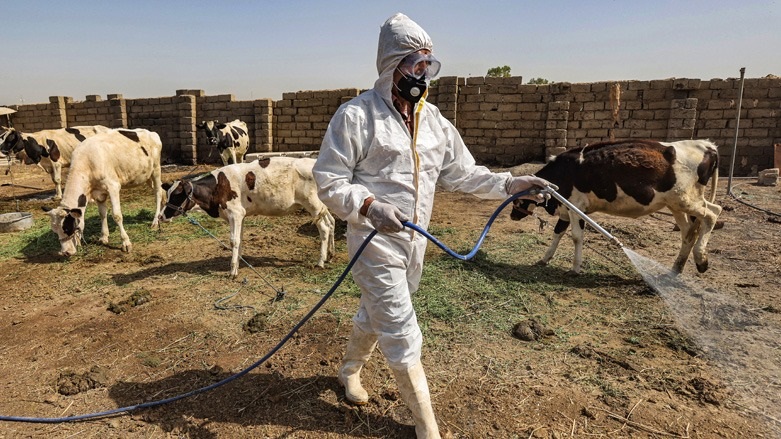 A medical team from Iraq's Health Ministry veterinarian department carries on a disinfection campaign against the spread of Congo hemorrhagic fever, May 22, 2023. (Photo: Ahmad Al-Rubaye/AFP)