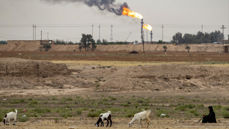 A woman grazes her goats across from oil fields at Khor al-Zubair in Iraq's southern Basra governorate, May 18, 2023. (Photo: Hussein Faleh/AFP)