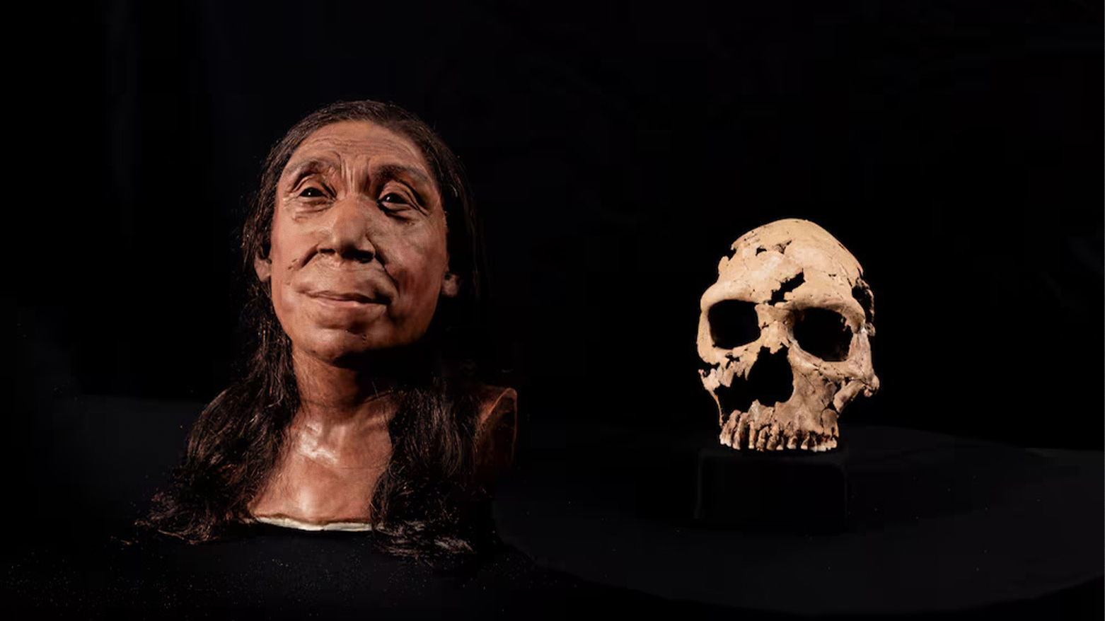 The recreated skull of Shanidar Z next to the actual skull unearthed in the Shanidar Cave in the Kurdistan Region. (Photo: Cambridge University)