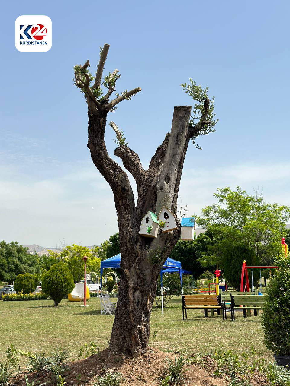 Flower and Tree Festival in Sulaimani, May 11. (Photo: Kurdistan 24)