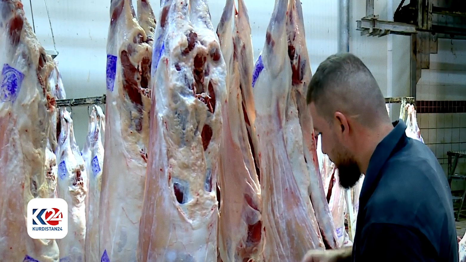 The modern abattoir in Erbil. (Photo: Kurdistan 24)