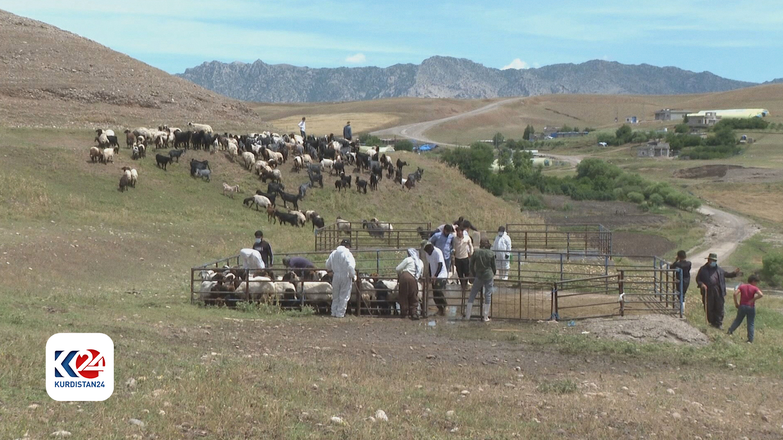 هەڵمەتی قەلاچۆکردنی نەخۆشی تای خوێنبەربوون لە ئاکرێ دەستی پێ کرد