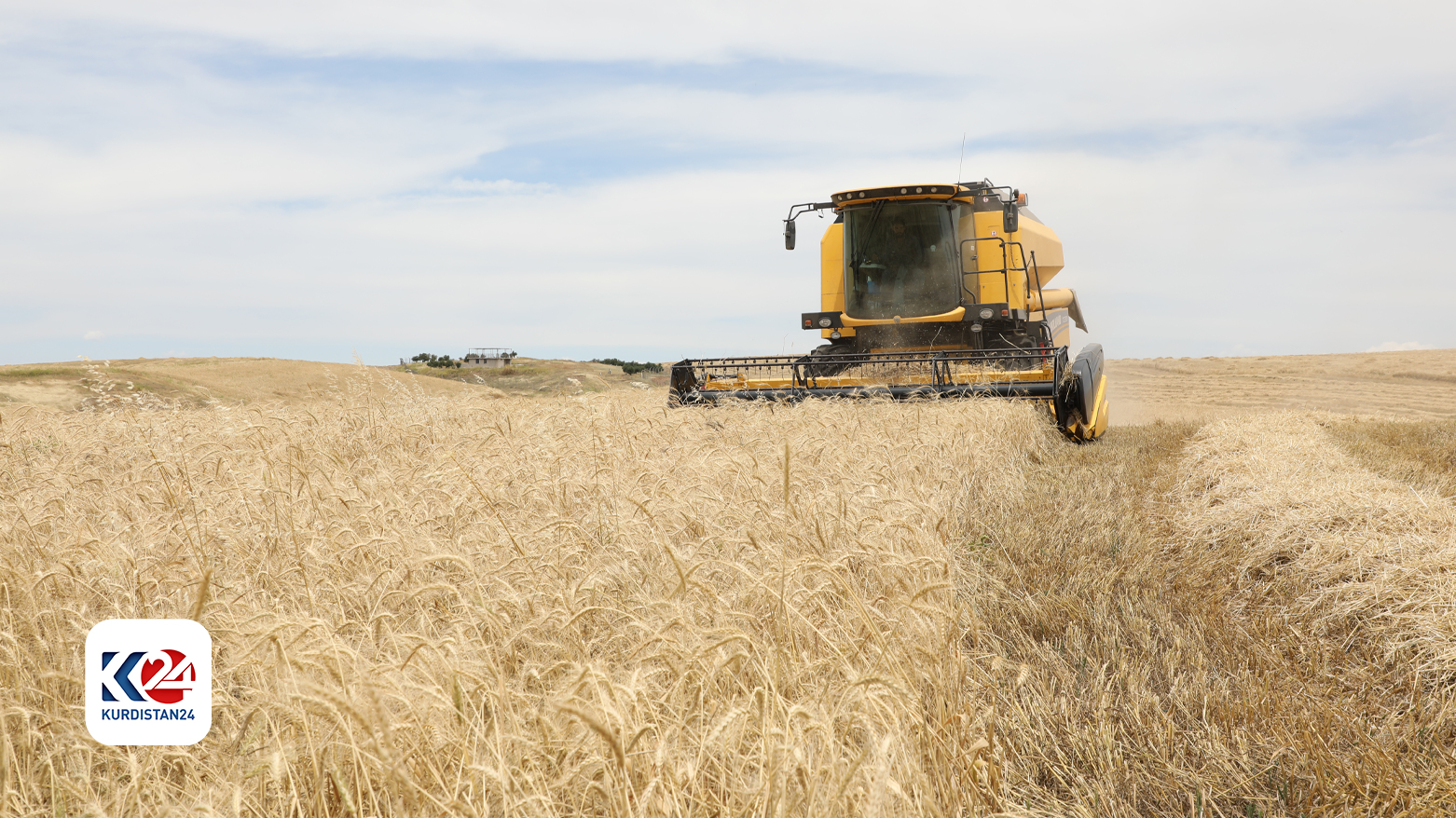 Iraq plans wheat exports amid excess production