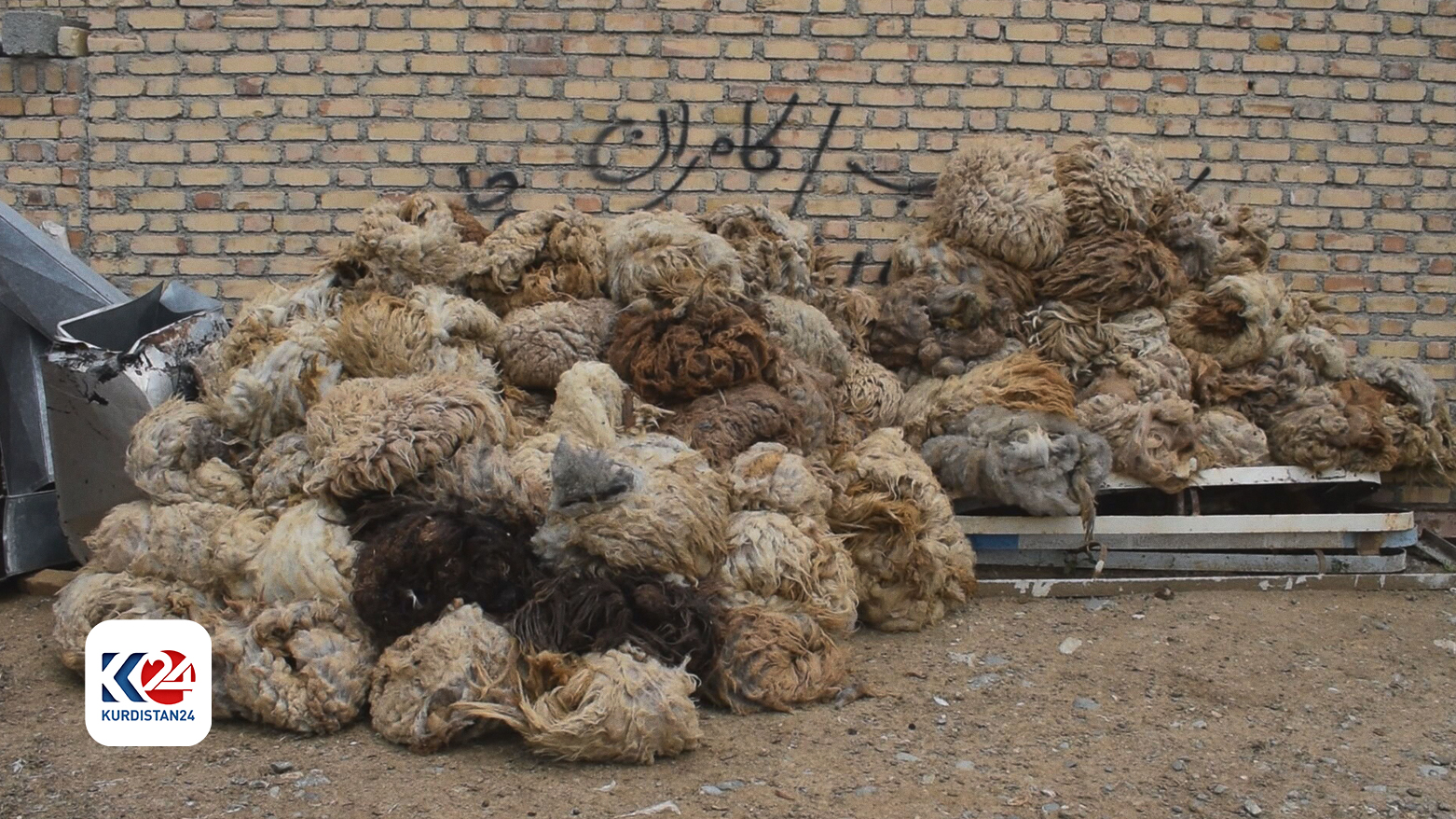 خورییە بڕدراوەکان