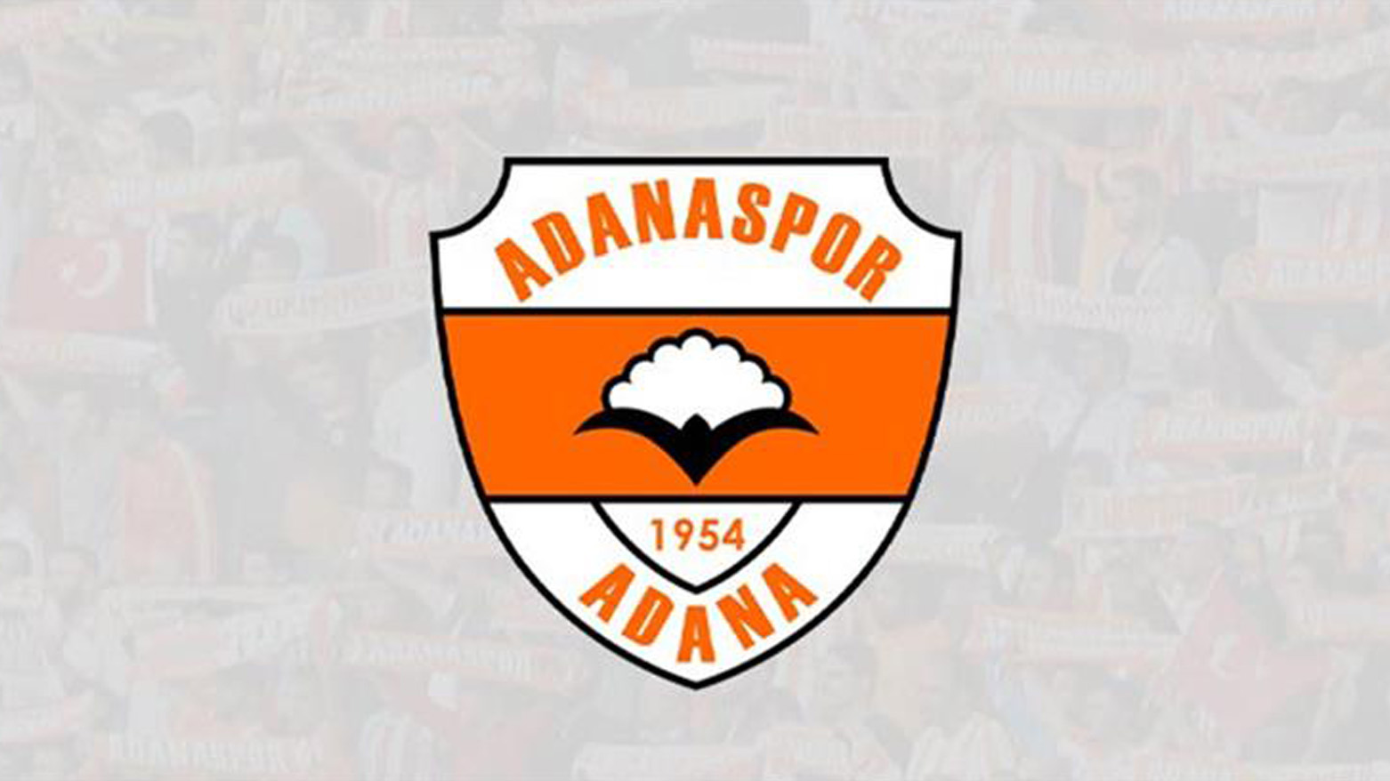 Adanaspor: Nihai sonuç 3 Haziran'da açıklanacak