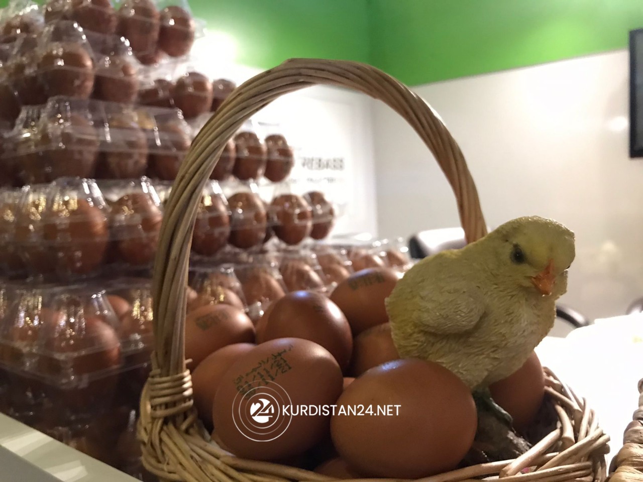 Locally produced eggs on display at the Erbil agricultural fair, Nov. 3, 2021. (Photo: Hero Mawludi/Kurdistan24)