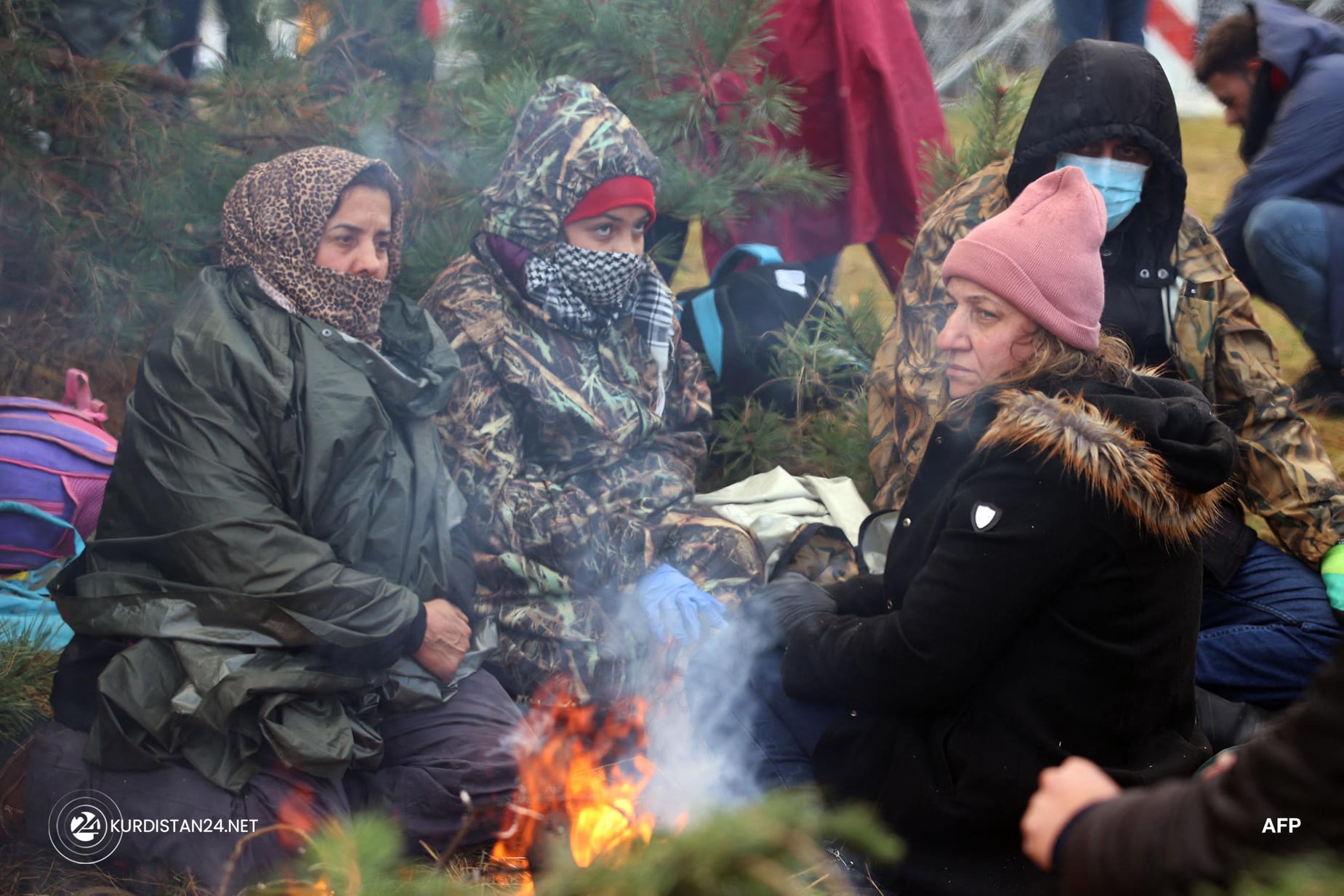 دیمه&zwnj;نێكی ناو دارستانه&zwnj;كانی نێوانی بێلارووس و پۆڵه&zwnj;ندا