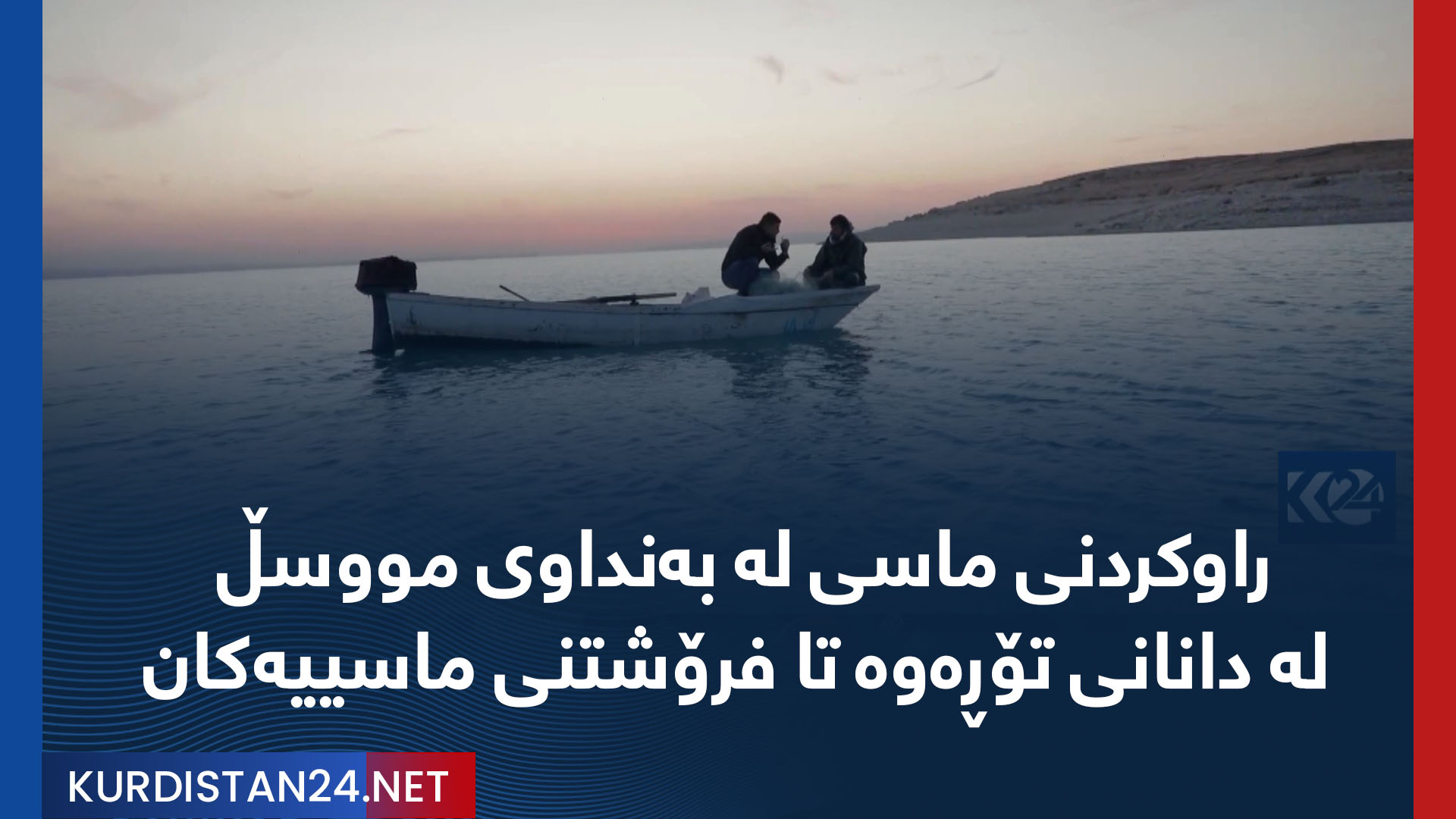راوکردنی ماسی لە بەنداوی مووسڵ، لە دانانی تۆڕەوە تا فرۆشتنی ماسییەکان