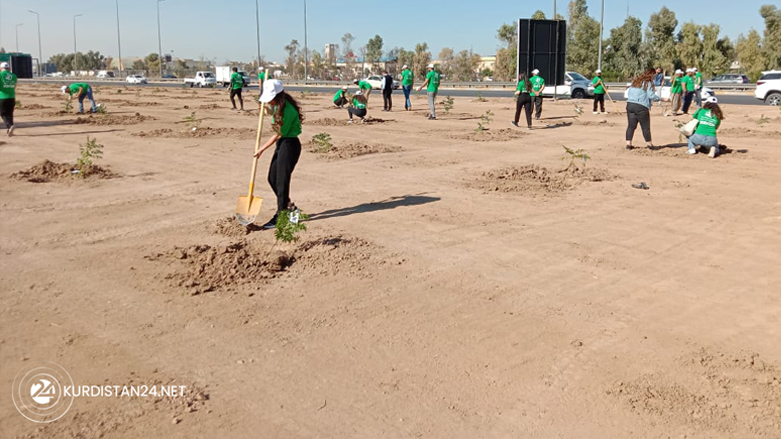 Company employees and municipality workers are planting trees in Ainkawa district in Erbil province, Nov. 14, 2021. (Photo: Nawras Abdulla/Kurdistan 24)
