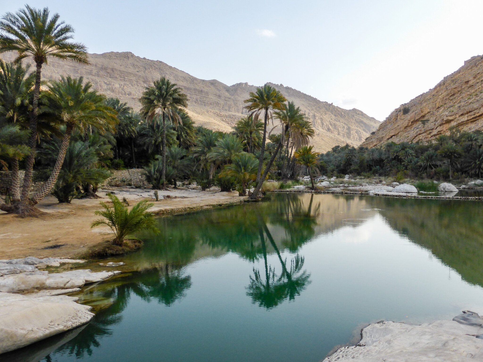 عومان - دۆڵی به‌نی خالید - ژماره‌ (10)