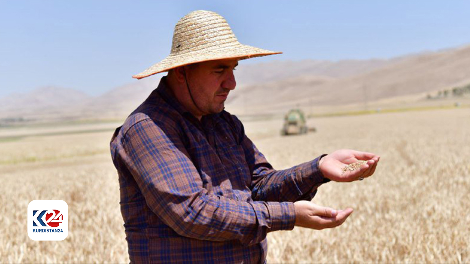 A Kurdish farmer inspects his wheat a harvest, May 28, 2022. (Photo: Dana Hama Gharib/Kurdistan 24)