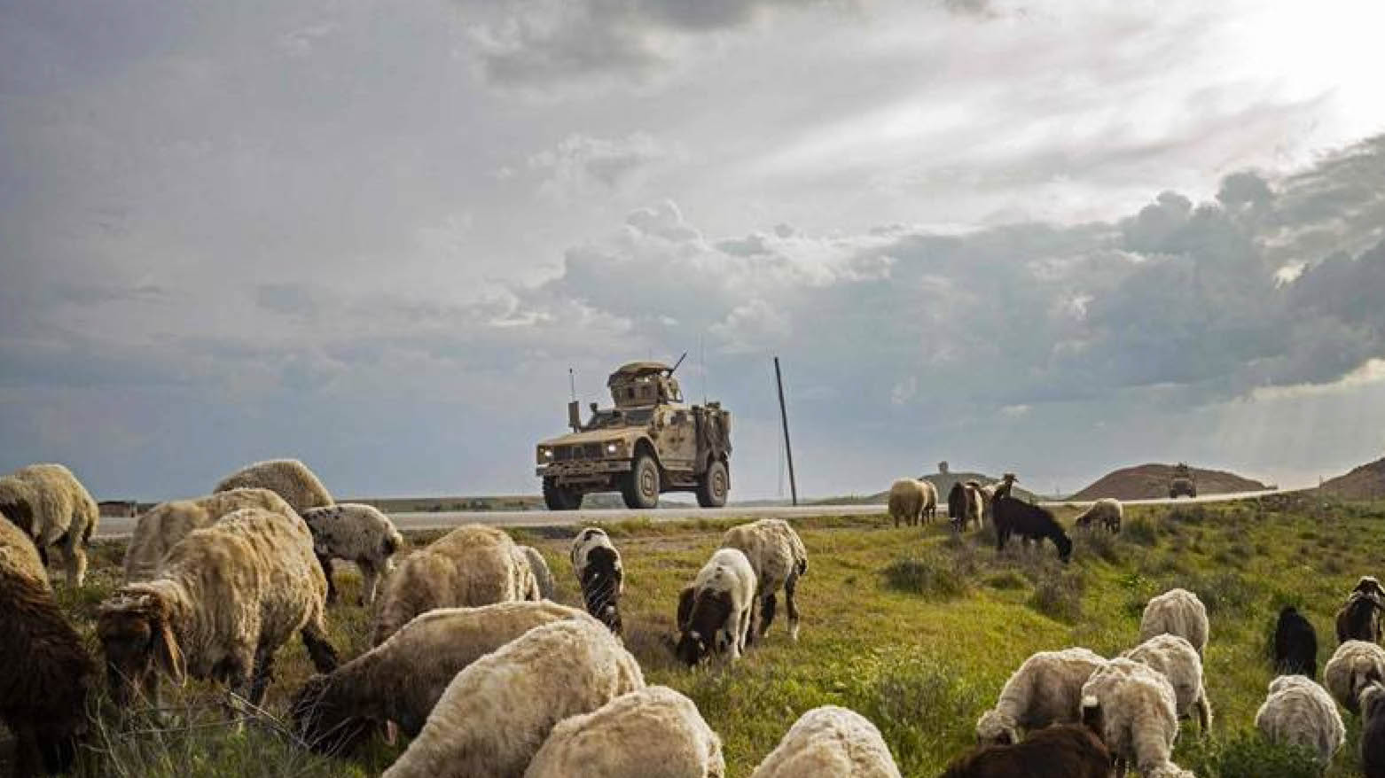 A U.S. military vehicle advances past a herd of sheep during a patrol on the M4 strategic highway, near the US base in Tall Baydar, in the northern countryside of Syria's northeastern Hasakeh province (Photo: AFP)