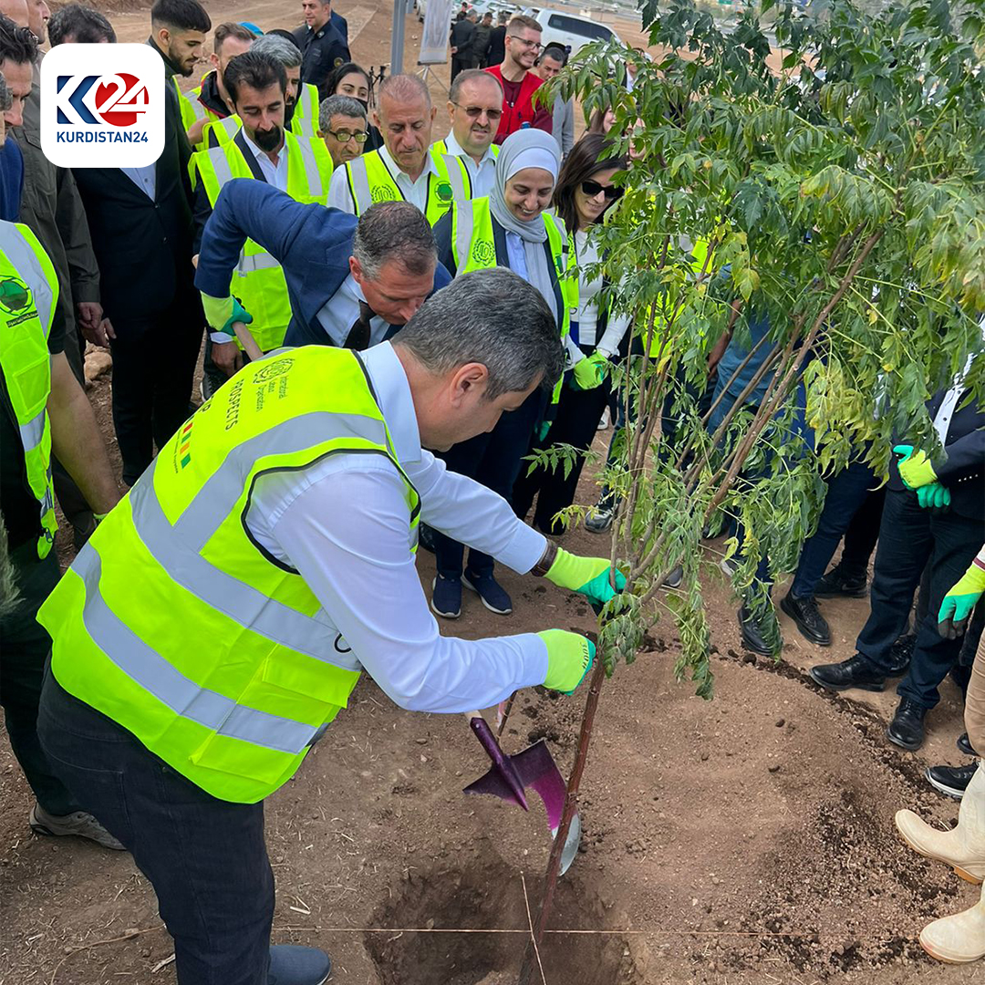 لە رێوڕەسمێکدا هەزاران نەمام لە دهۆک چێندران (وێنە: ماهر شنگالی - کوردستان24)