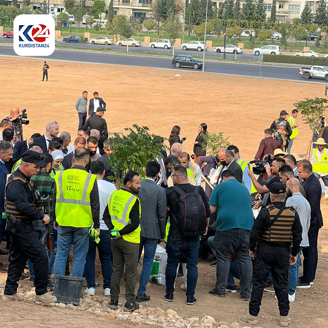 لە رێوڕەسمێکدا هەزاران نەمام لە دهۆک چێندران (وێنە: ماهر شنگالی - کوردستان24)