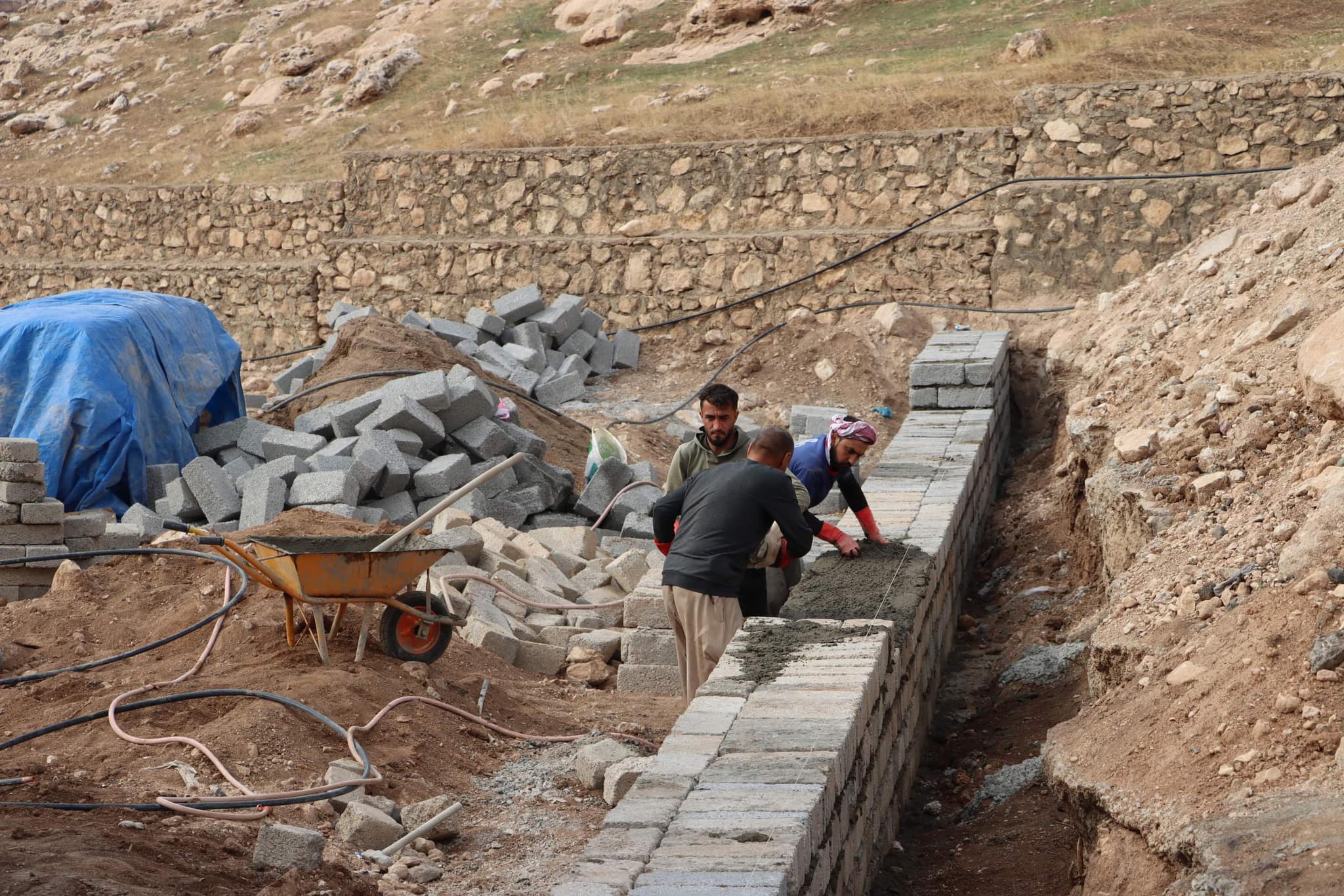 کارکردن لە شێڵتەری ئاژەڵە بێلانەکانی دهۆک (وێنە: سەرۆکایەتیی شارەوانیی دهۆک)