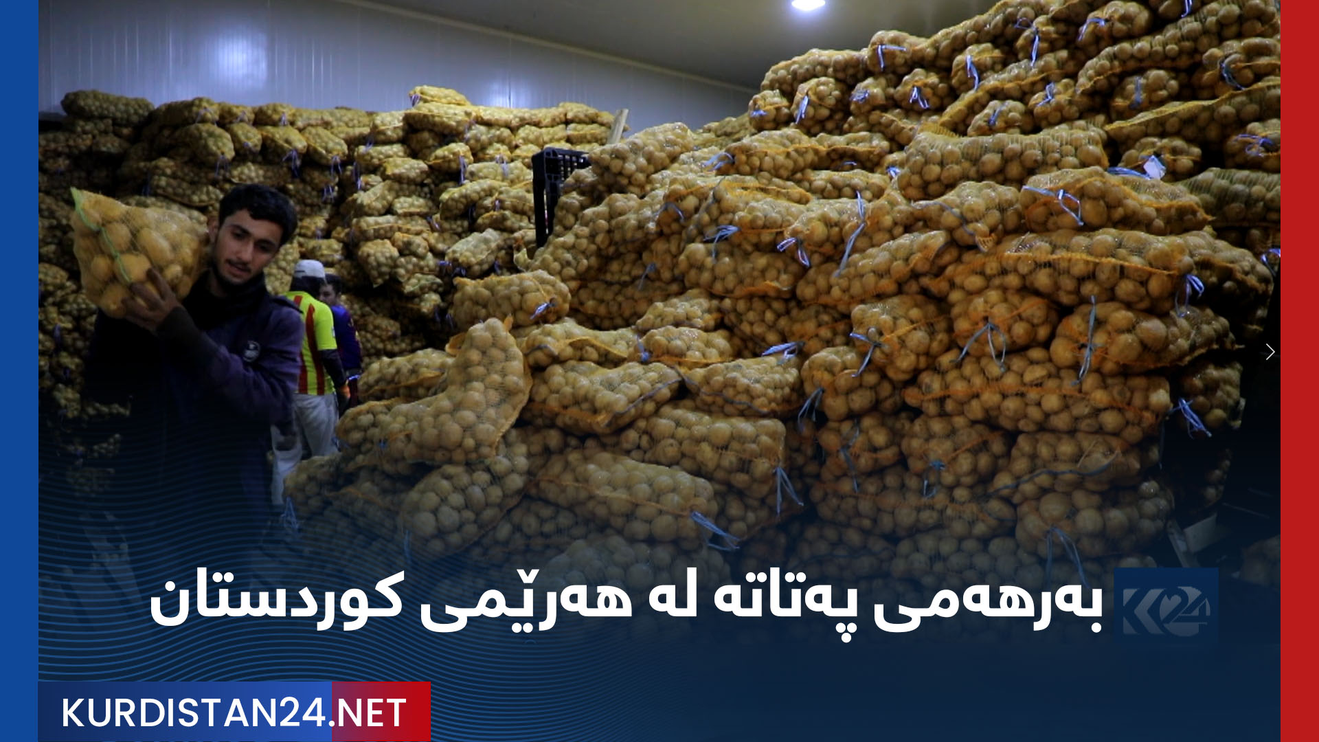 بەرهەمی پەتاتە لە هەرێمی کوردستان