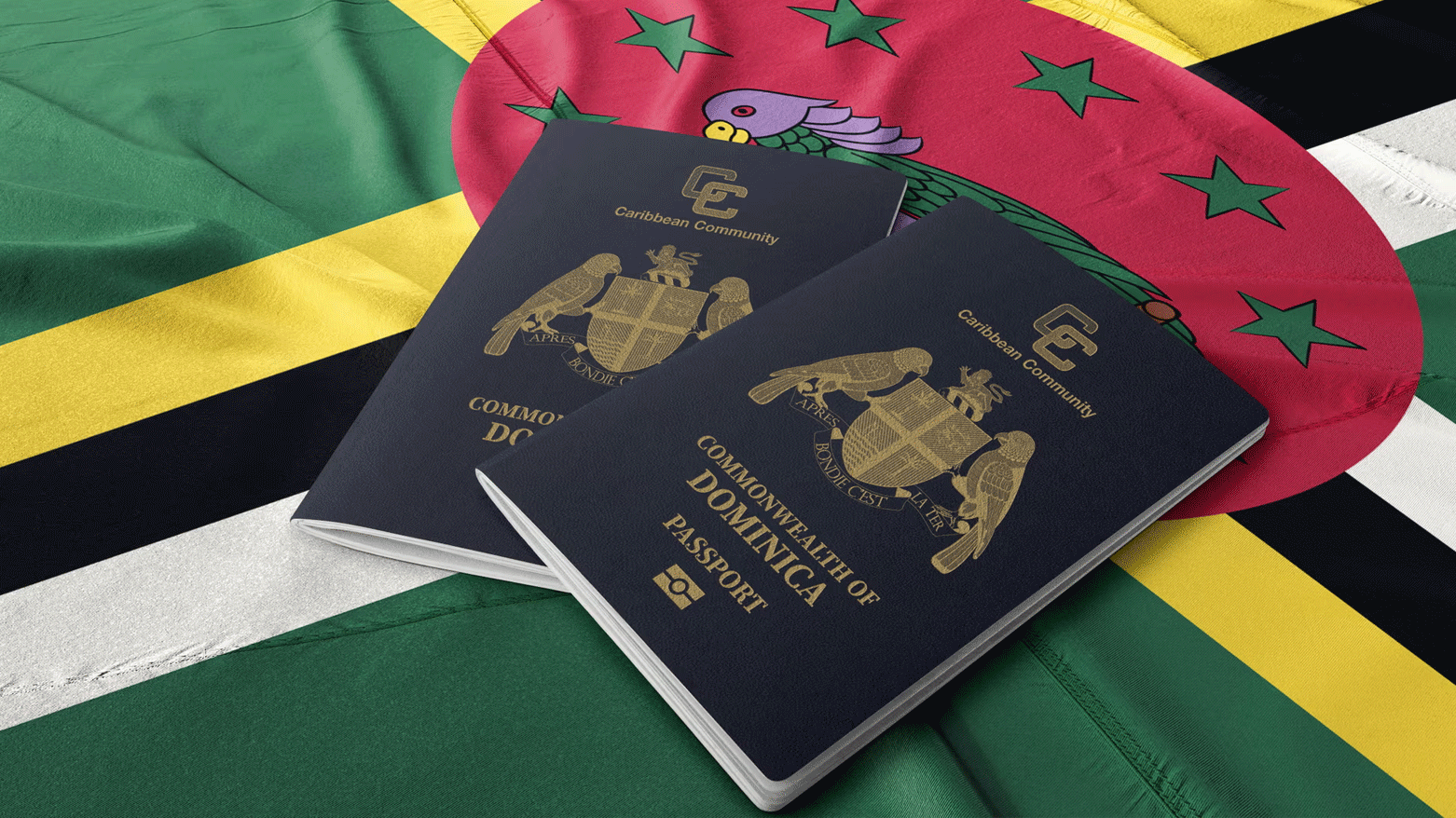 پاسپۆرتی دۆمێنیکا