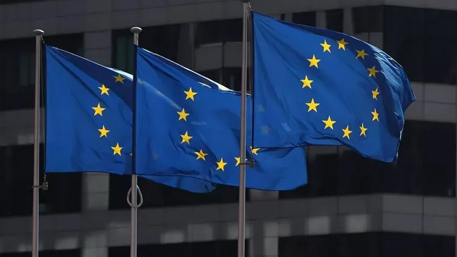 علم الاتحاد الأوروبي المؤلّف من 12 نجمة (وكالات)