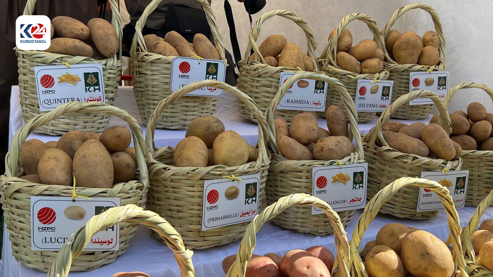 بە وێنە؛ بەڕێوەچوونی یەکەمین فێستیڤاڵی بەرهەمە ناوخۆییەکان لە بریفکا (وێنە: هەیسەم زاوێتەیی - کوردستان24)