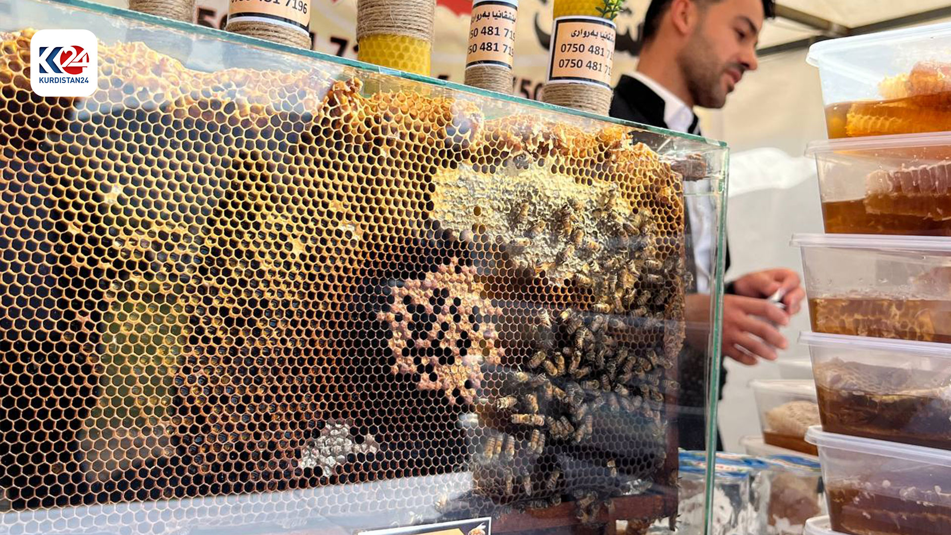 بە وێنە؛ بەڕێوەچوونی یەکەمین فێستیڤاڵی بەرهەمە ناوخۆییەکان لە بریفکا (وێنە: هەیسەم زاوێتەیی - کوردستان24)