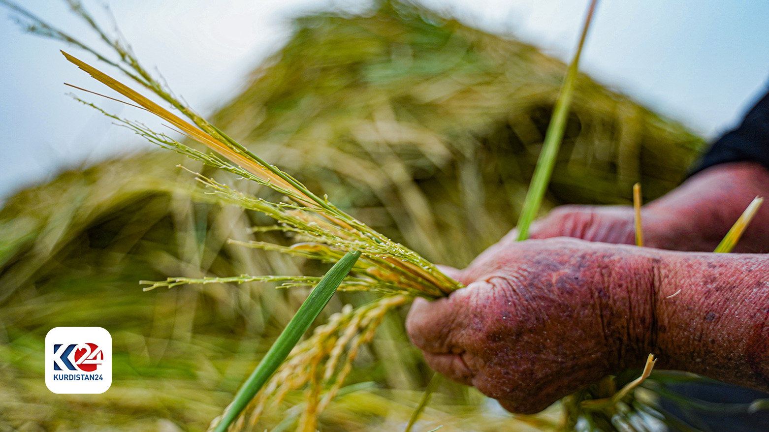 86986398637387368639836