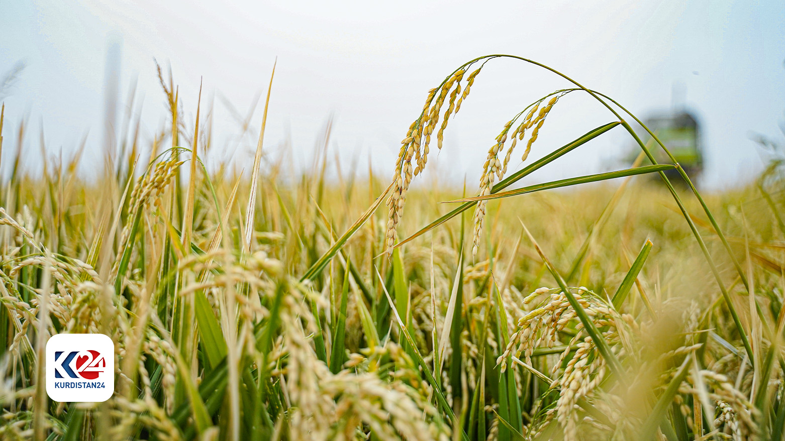 7679837893983697837893