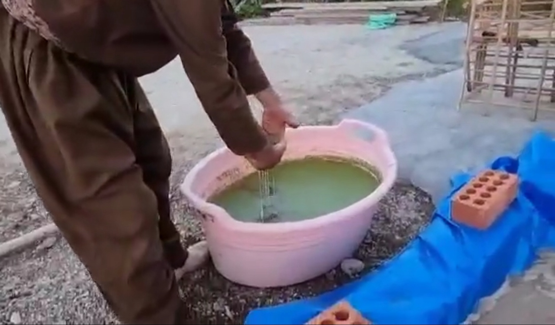 جووتیارە نموونەییەكەی هەڵەبجە
