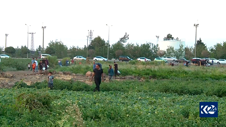 Li Diyarbekirê welatî bi xwe sebzeyên xwe diçinin û dikirin
