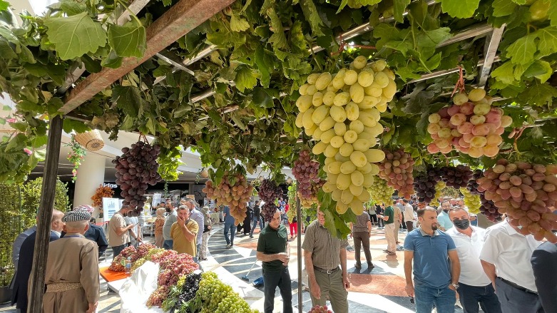 Fresh grapes on display at an annual fair for marketing grapes and honey in Duhok city, Kurdistan Region, Sept. 20, 2021. (Photo: Star Ahmad / Kurdistan 24)