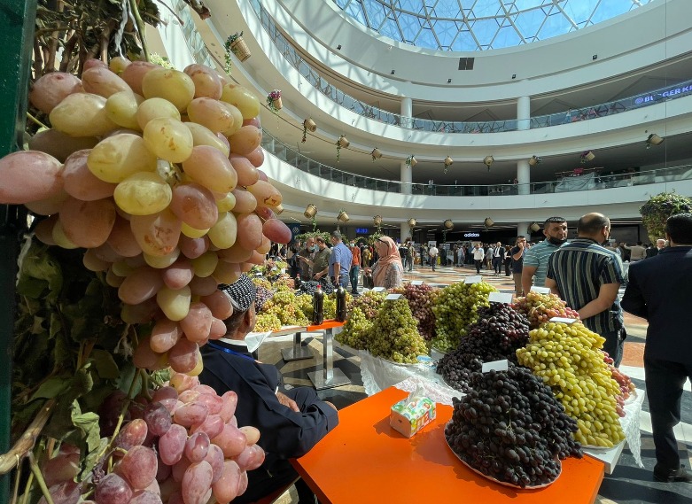 Fresh grapes on display at an annual fair for marketing grapes and honey in Duhok city, Kurdistan Region, Sept. 20, 2021. (Photo: Star Ahmad / Kurdistan 24)