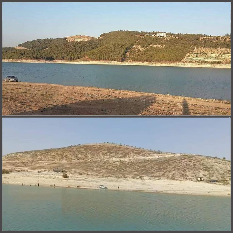 Daristana gola Meydankê, berî û piştî dagîrkirina Efrînê