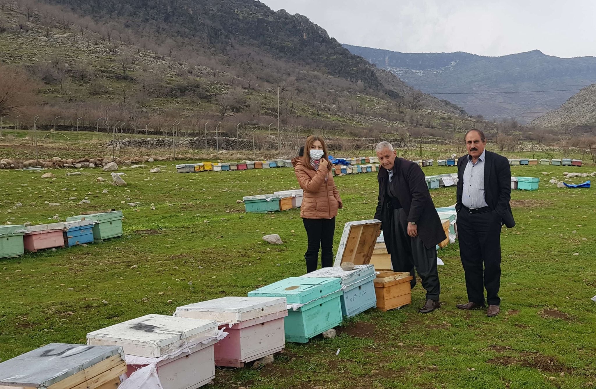 زنبورداران نمونه اقلیم کوردستان، در منطقه کوهستانی هلدن 