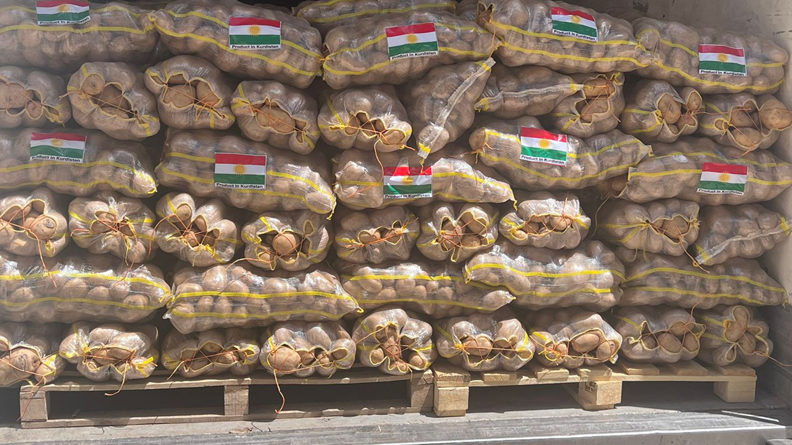 Kurdistan Region potatoes are loaded in a truck bound to the UAE. (Photo: Renas A. Saeed/Kurdistan 24)