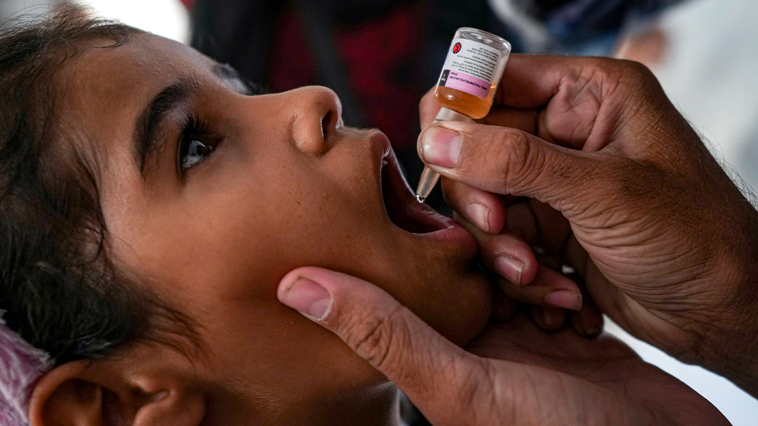 (AP Photo/Abdel Kareem Hana)