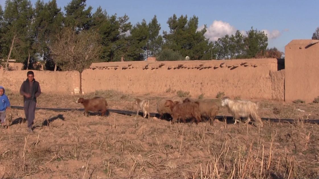 Welatiyên Hesekê gundên xwe ji mayînan paqij dikin