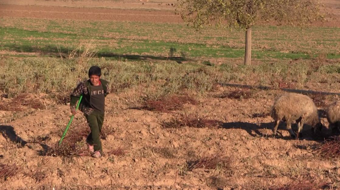 Welatiyên Hesekê gundên xwe ji mayînan paqij dikin