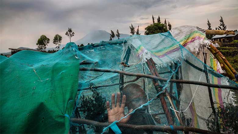 Rewşa penaberên cîhanê di 10 wêneyan de
