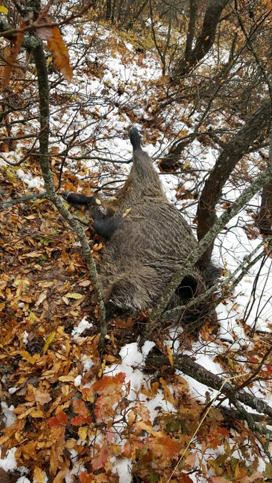 کوردستان24 وێنەی پاش گیان لە دەستدانی وێنەگرەکەی دەڤەری ئامێدی بڵاودەکاتەوە