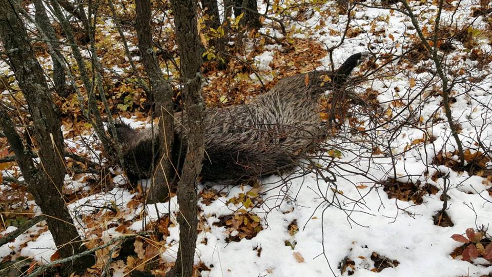 کوردستان24 وێنەی پاش گیان لە دەستدانی وێنەگرەکەی دەڤەری ئامێدی بڵاودەکاتەوە