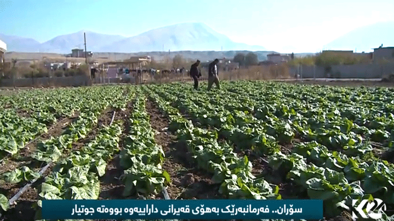 فەرمانبەرێك بەھۆی دواكەوتنی مووچەوە روو لەكاری كشتوكاڵ دەكات